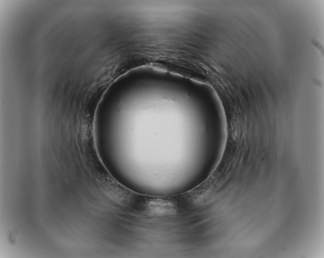 X0000091190515200708161553