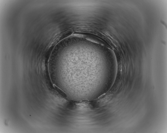 X0000091190516200708161553