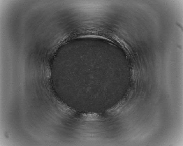 X0000091190517200708161553
