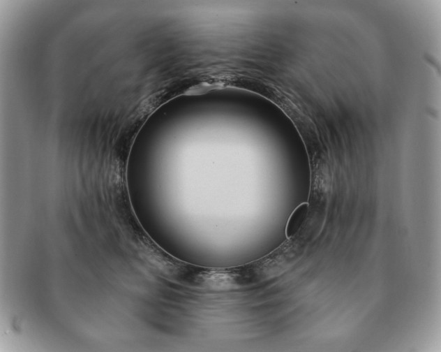 X0000091190518200708161553