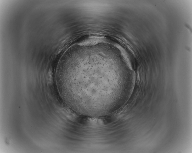 X0000091190520200708161553
