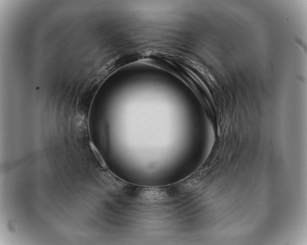 X0000091190521200708161553