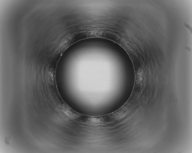 X0000091190522200708161553