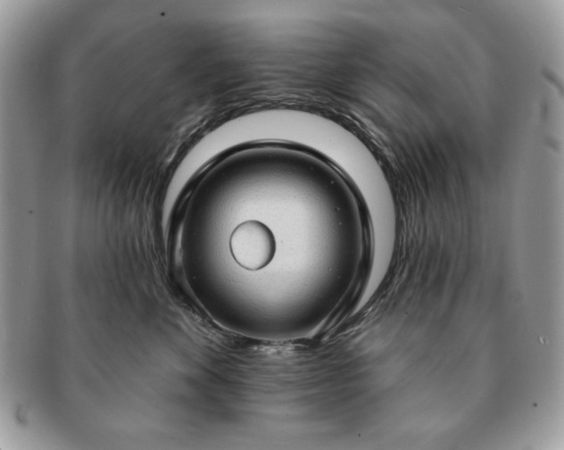 X0000091190524200708161553
