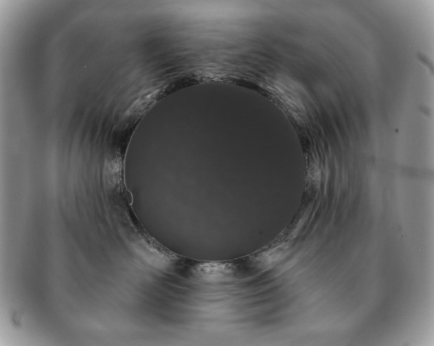 X0000091190526200708161553