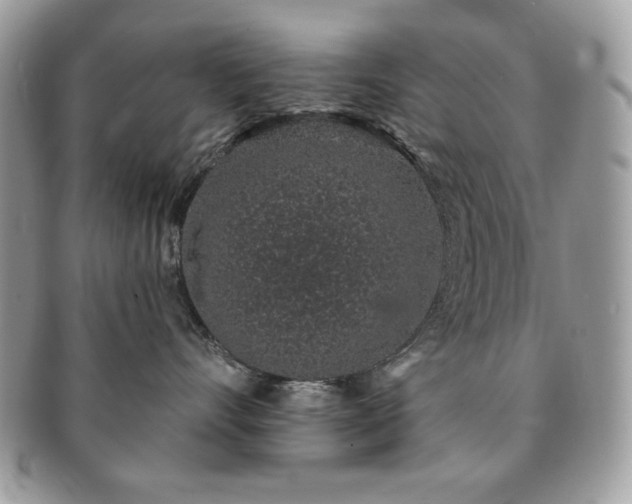 X0000091190528200708161553