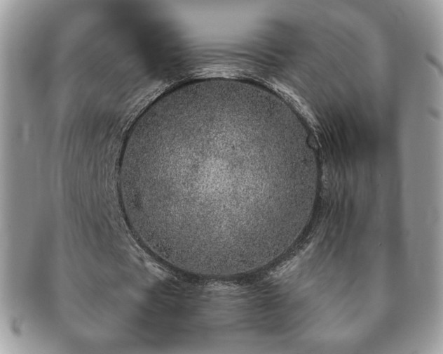 X0000091190529200708161553