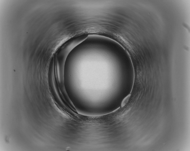 X0000091190530200708161553