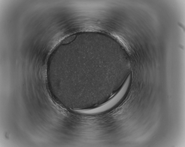 X0000091190531200708161553