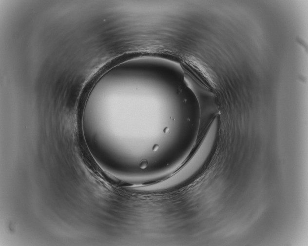 X0000091190532200708161553