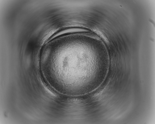 X0000091190533200708161553