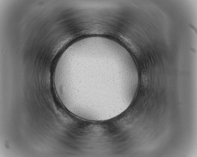 X0000091190534200708161553