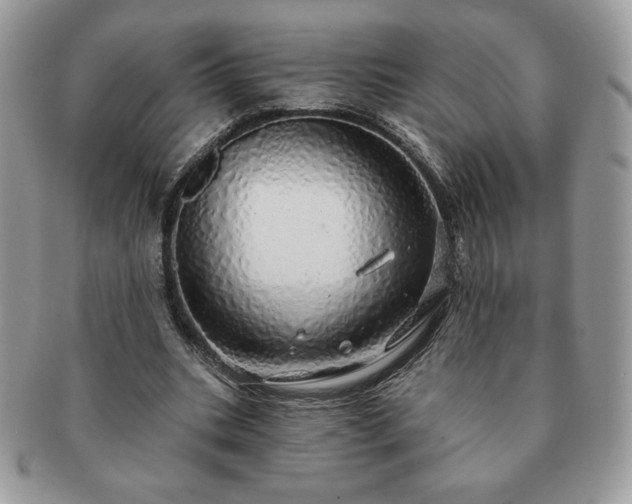 X0000091190535200708161553