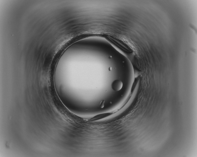 X0000091190536200708161553