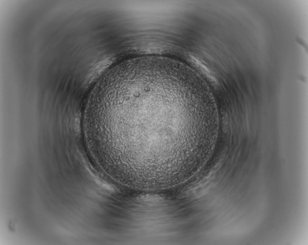 X0000091190537200708161553