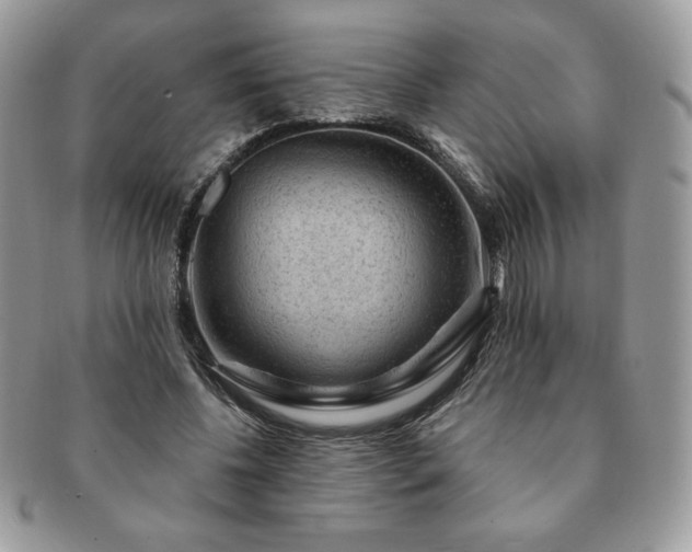 X0000091190540200708161553