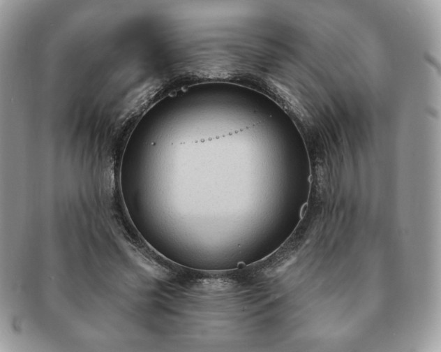 X0000091190541200708161553