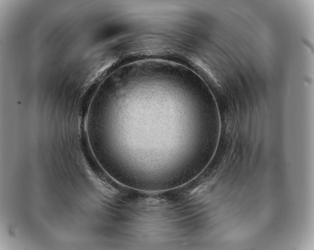 X0000091190542200708161553