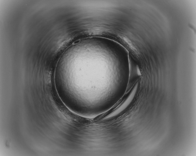 X0000091190543200708161553