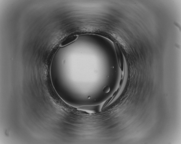 X0000091190544200708161553