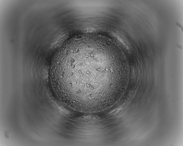 X0000091190545200708161553