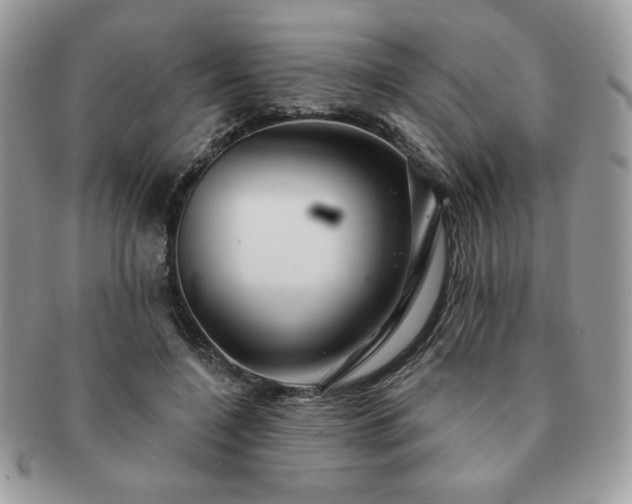 X0000091190548200708161553