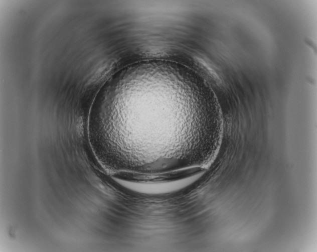X0000091190549200708161553