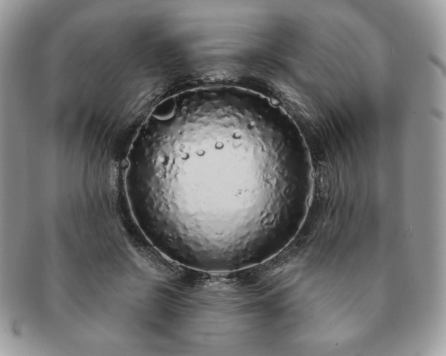 X0000091190550200708161553