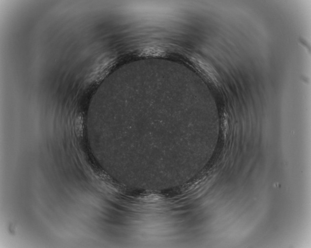 X0000091190551200708161553