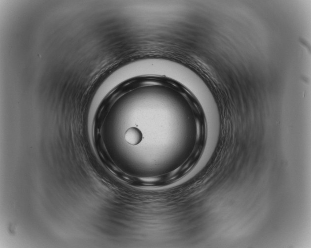 X0000091190552200708161553