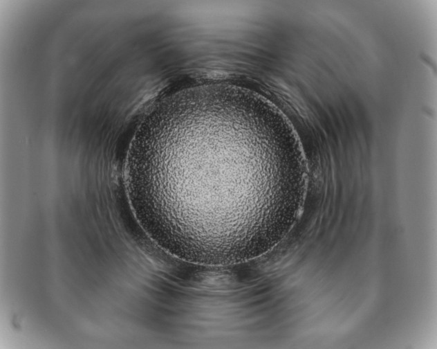 X0000091190555200708161553