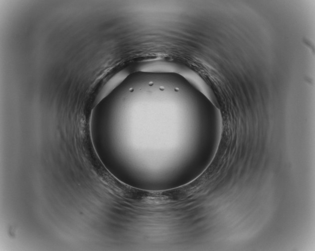 X0000091190556200708161553