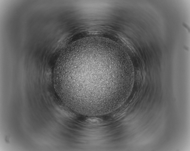 X0000091190557200708161553