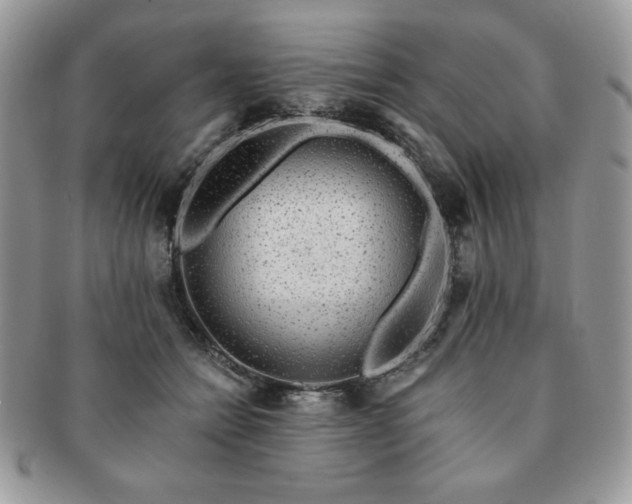 X0000091190558200708161553