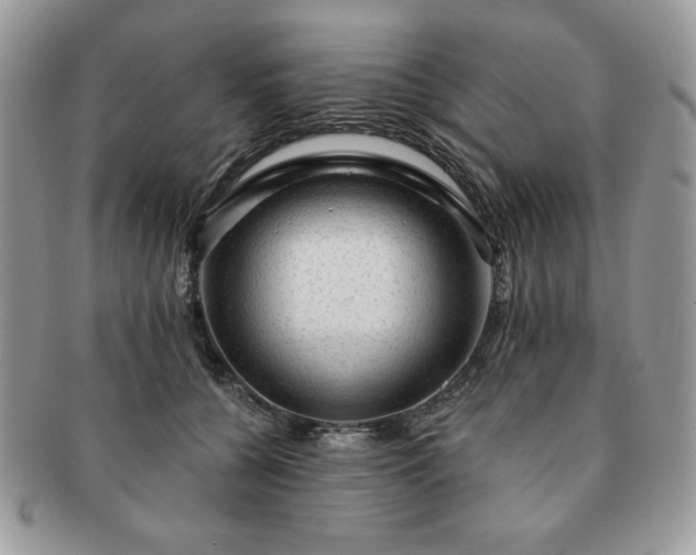 X0000091190560200708161553