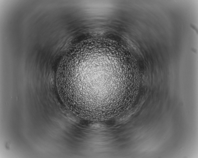 X0000091190561200708161553