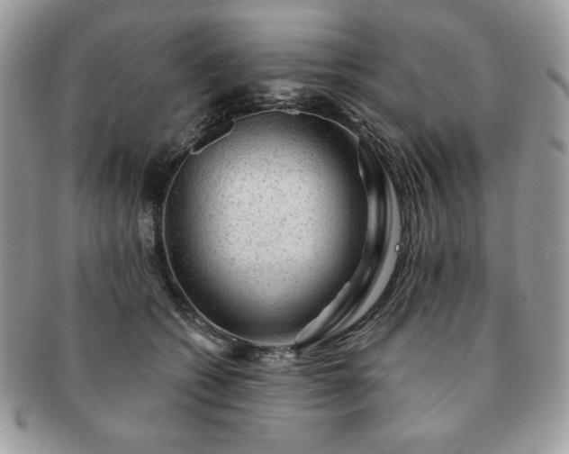 X0000091190562200708161553