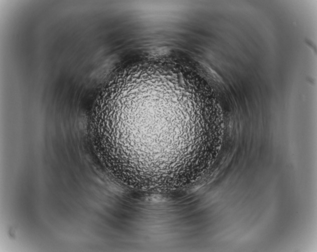 X0000091190565200708161553