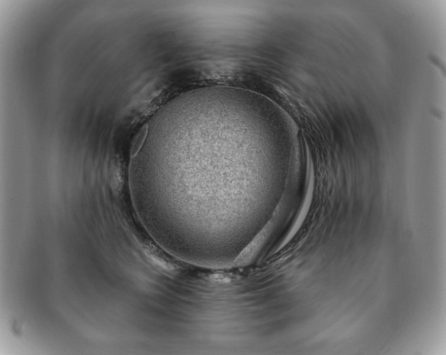 X0000091190566200708161553