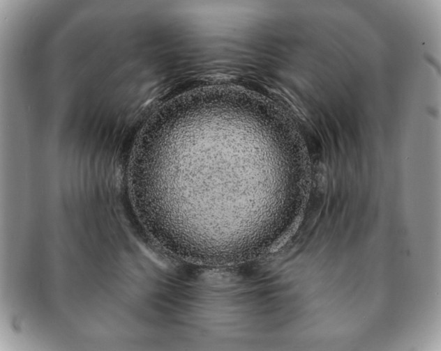 X0000091190568200708161553