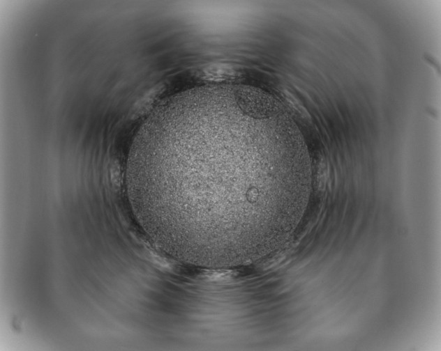 X0000091190569200708161553