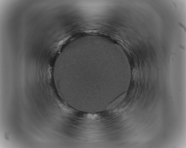 X0000091190570200708161553