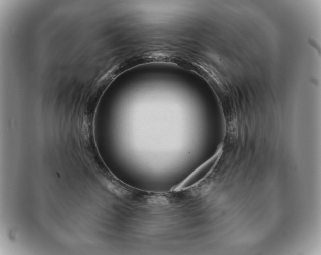 X0000091190572200708161553