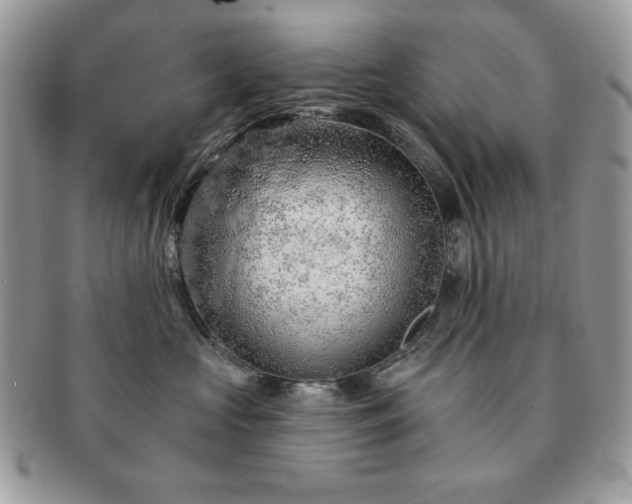 X0000091190573200708161553