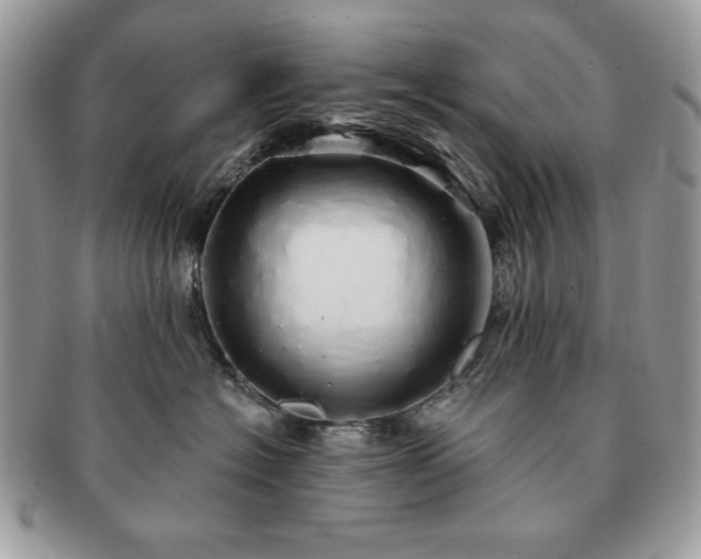 X0000091190574200708161553