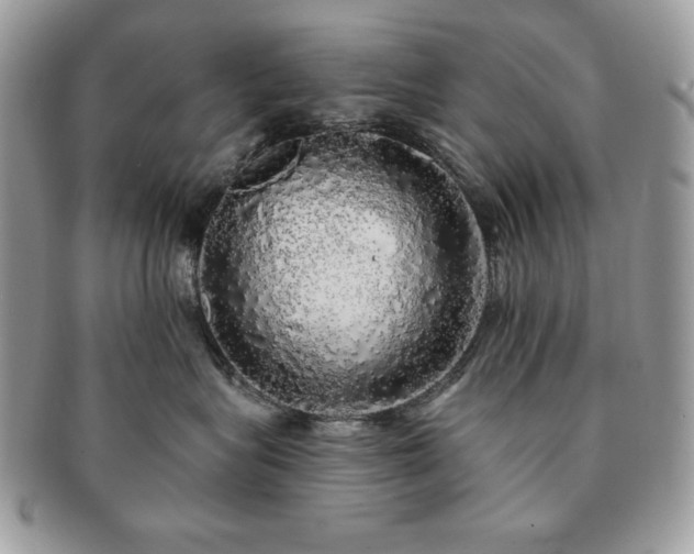X0000091190575200708161553