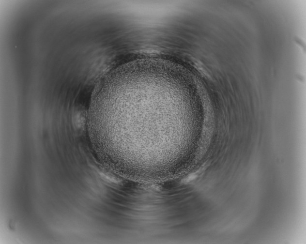 X0000091190576200708161553