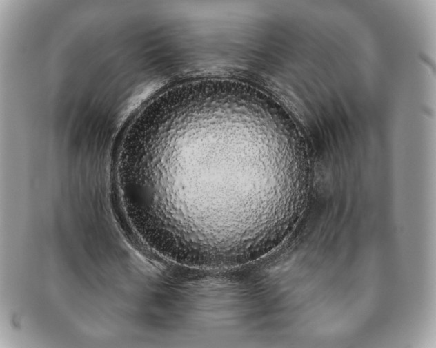 X0000091190578200708161553