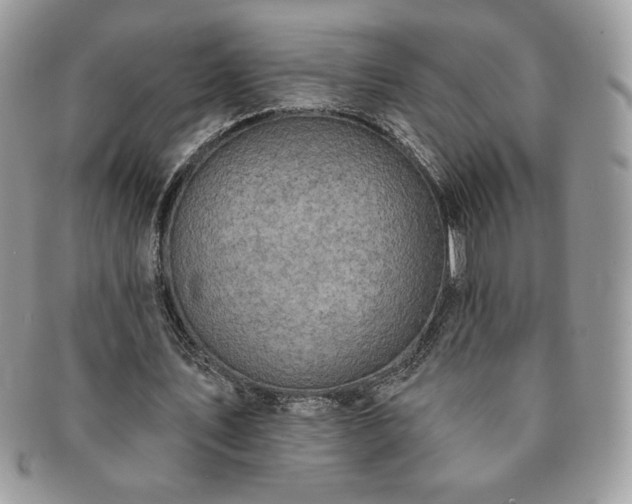 X0000091190579200708161553