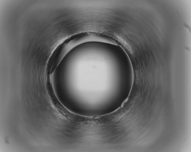 X0000091190580200708161553